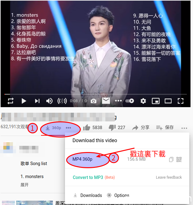 《如何从油管(Youtube)上免費下载mp3和影片文檔》