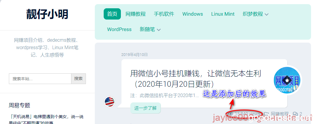 《wordpress如何通过函数的方式添加“文章阅读数”标签，并且在前台显示》