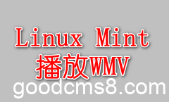 Ubuntu | Linux Mint下播放WMV文件无声音解决方案 2023-10-31_194730